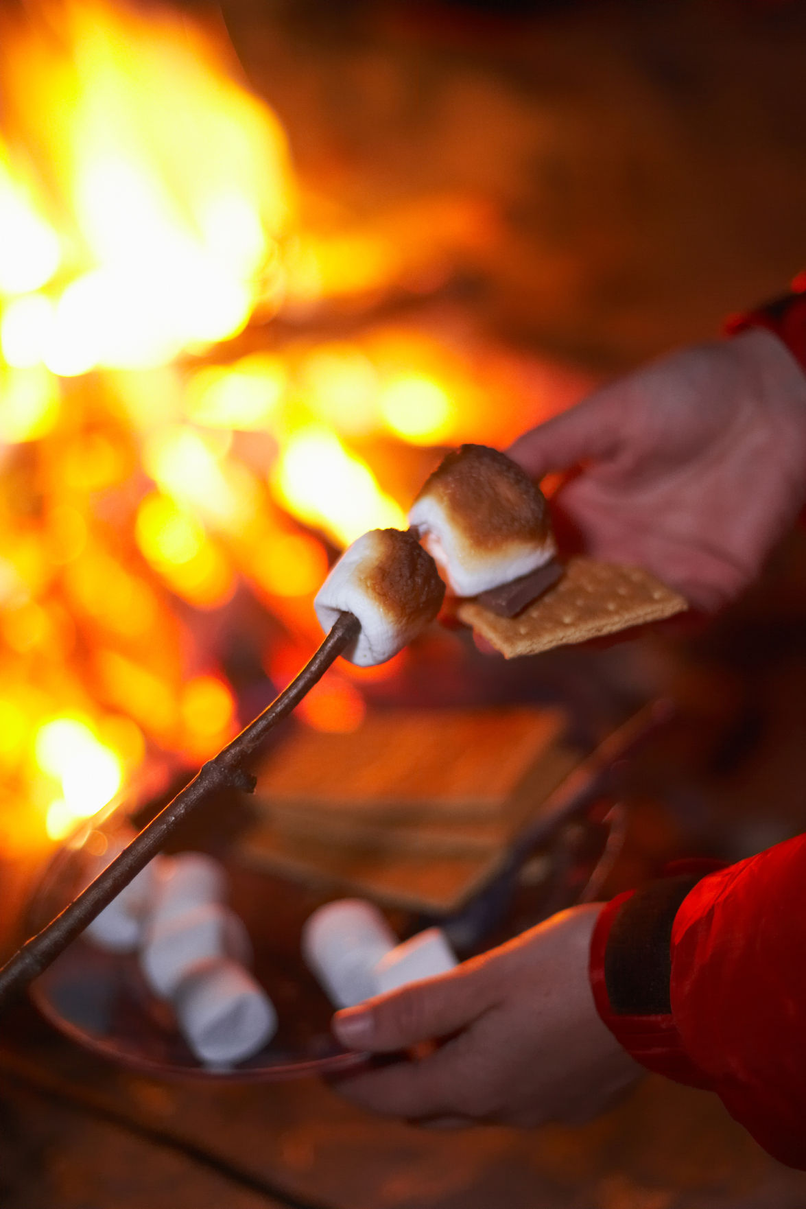 Friends Creek Conservation Area: Evening Campfire